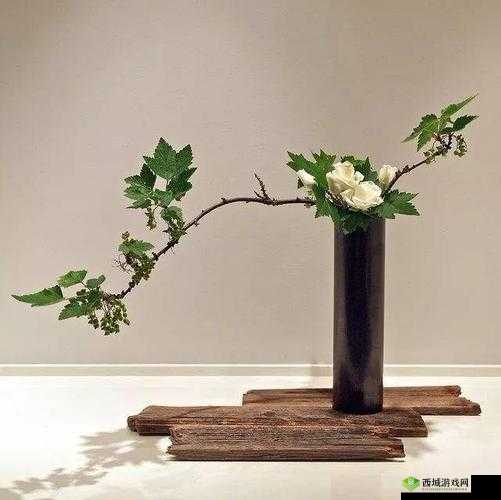 插花弄玉：一段充满诗意与技艺的唯美故事